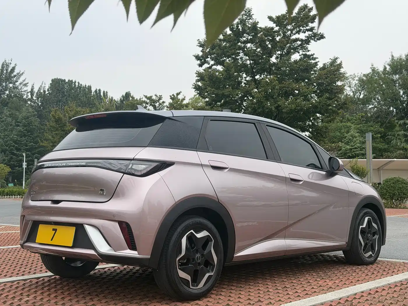 BYD Dolphin 2021 2021 Model 405km Fashion Edition