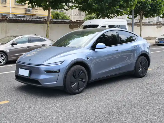 Tesla Model Y 2025 Rear-Wheel Drive