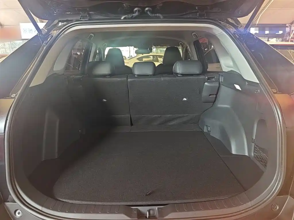 Toyota RAV4 Rongfang 2023 2.0L CVT 2WD Urban Edition фото 15