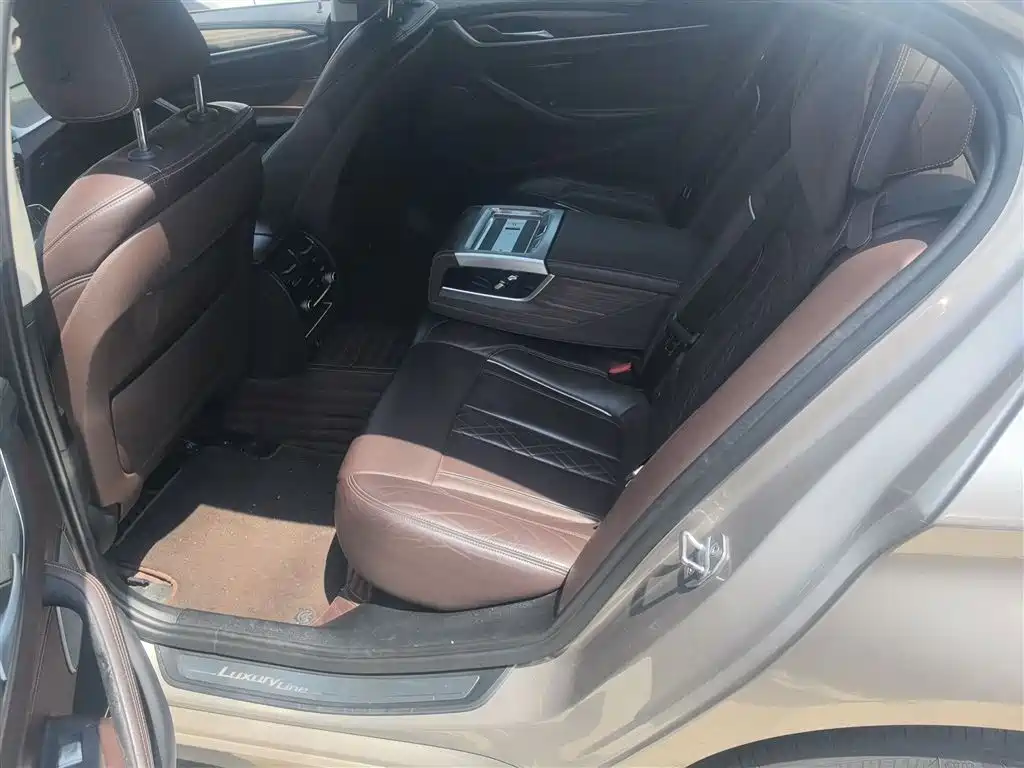 BMW 5 Series 2019 530Li Premium Luxury Package фото 13