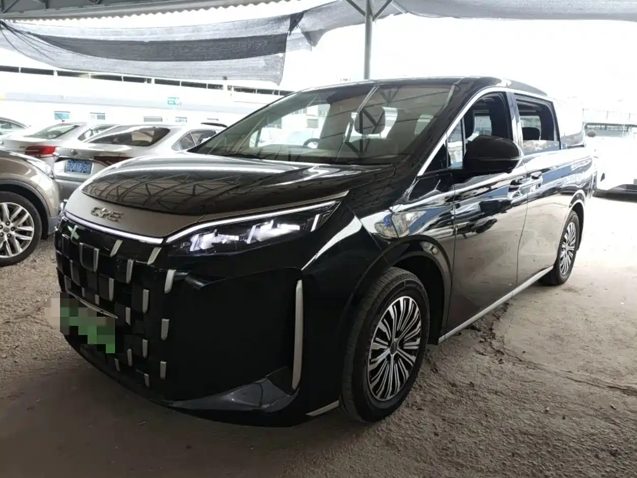 BYD M9 2025 2025 Model 1060 Pilot Edition