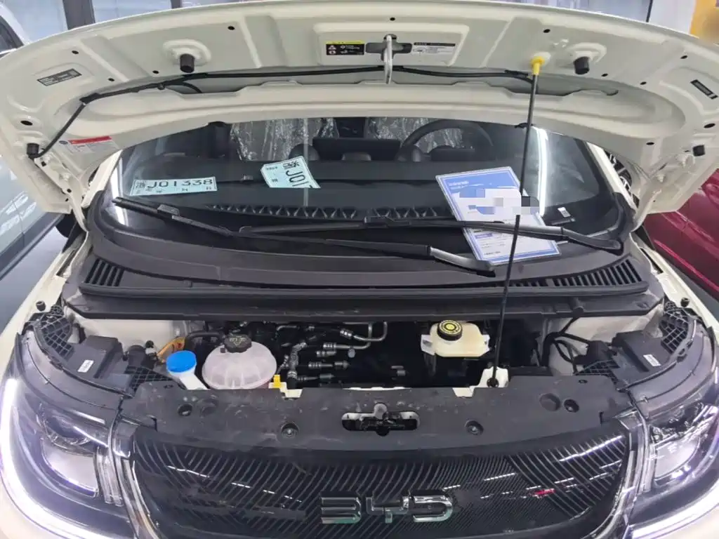 BYD Dolphin 2026 2025 420km Freedom Edition