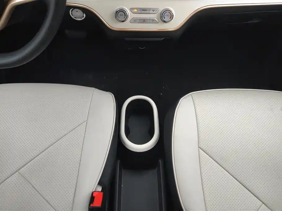 QQ New Energy Duomi 2026 2025 305km Comfort Edition