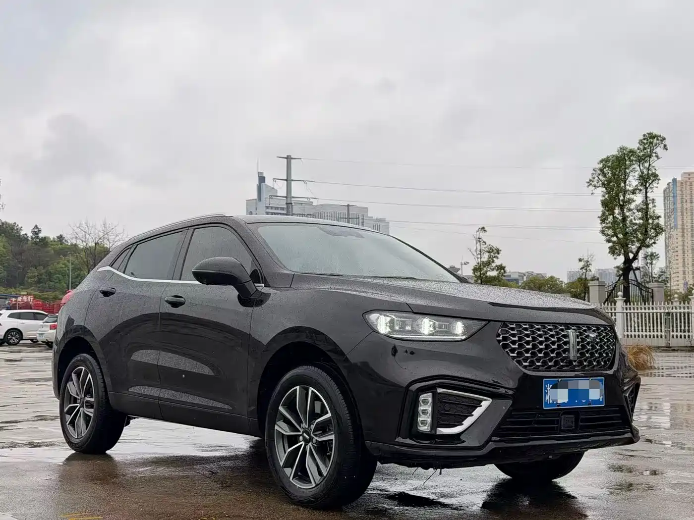 WEI PAI WEI BRAND VV5