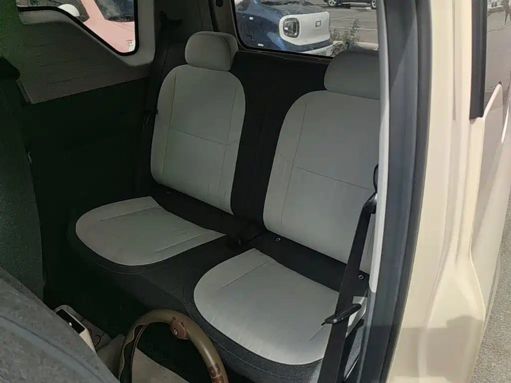 Geely Galaxy Panda 2025 2025 Panda mini 210km Vitality Bear