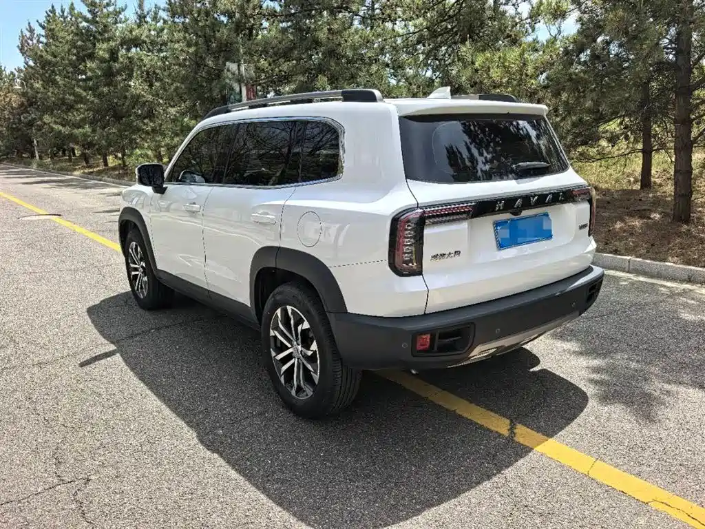 Haval Big Dog 2022 1.5T DCT FWD Border Collie Edition фото 9