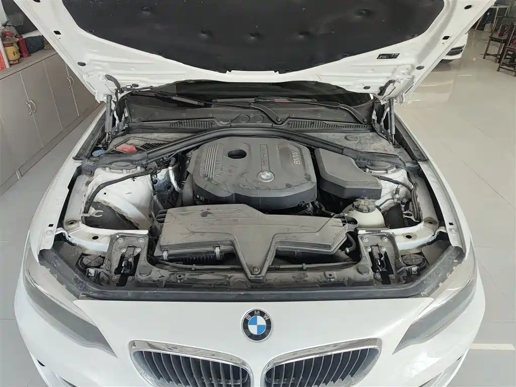 BMW 2 Series (Import) 2015 218i фото 20