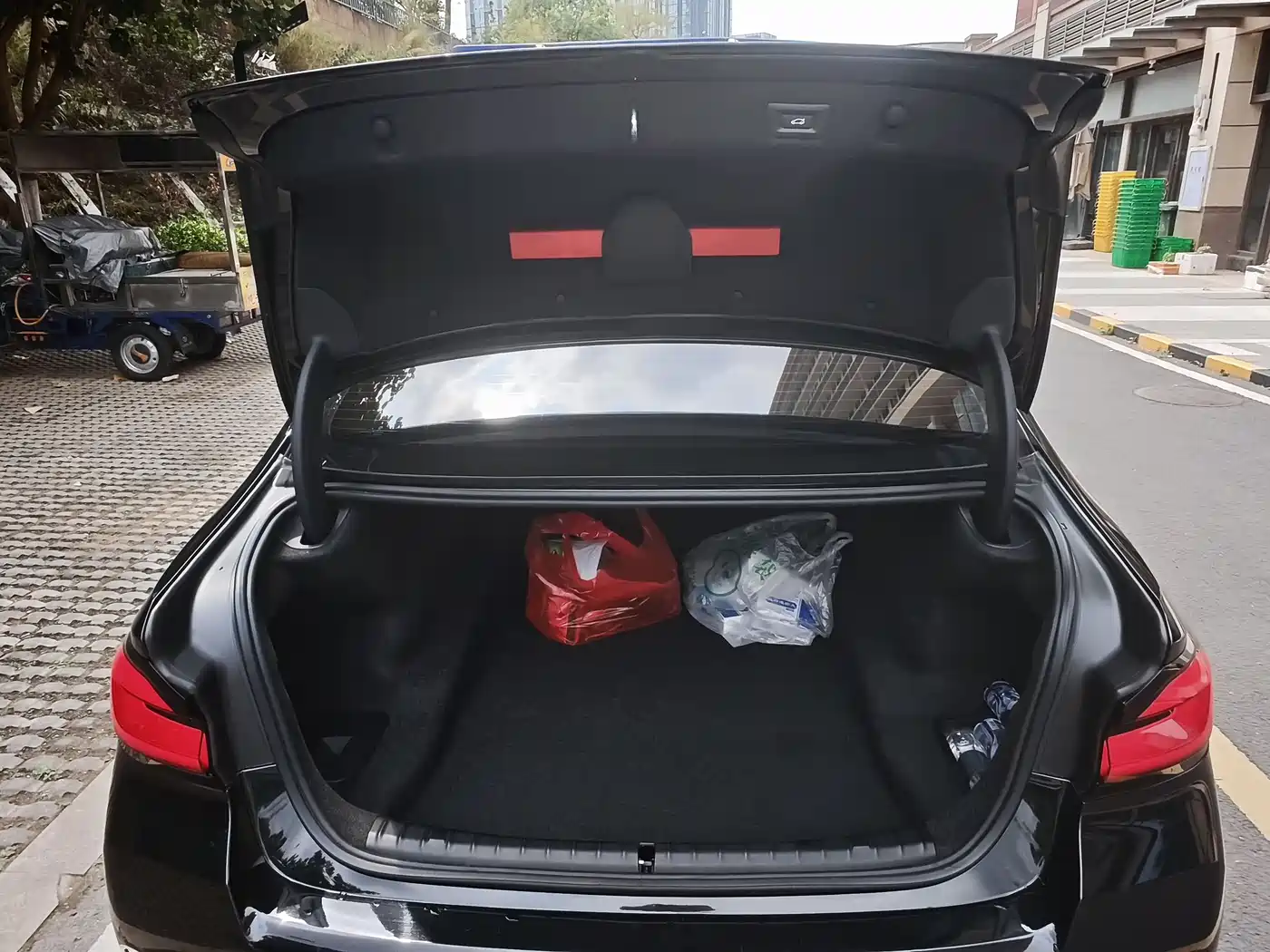 BMW 5 Series 2021 530Li Leading Luxury Package фото 12