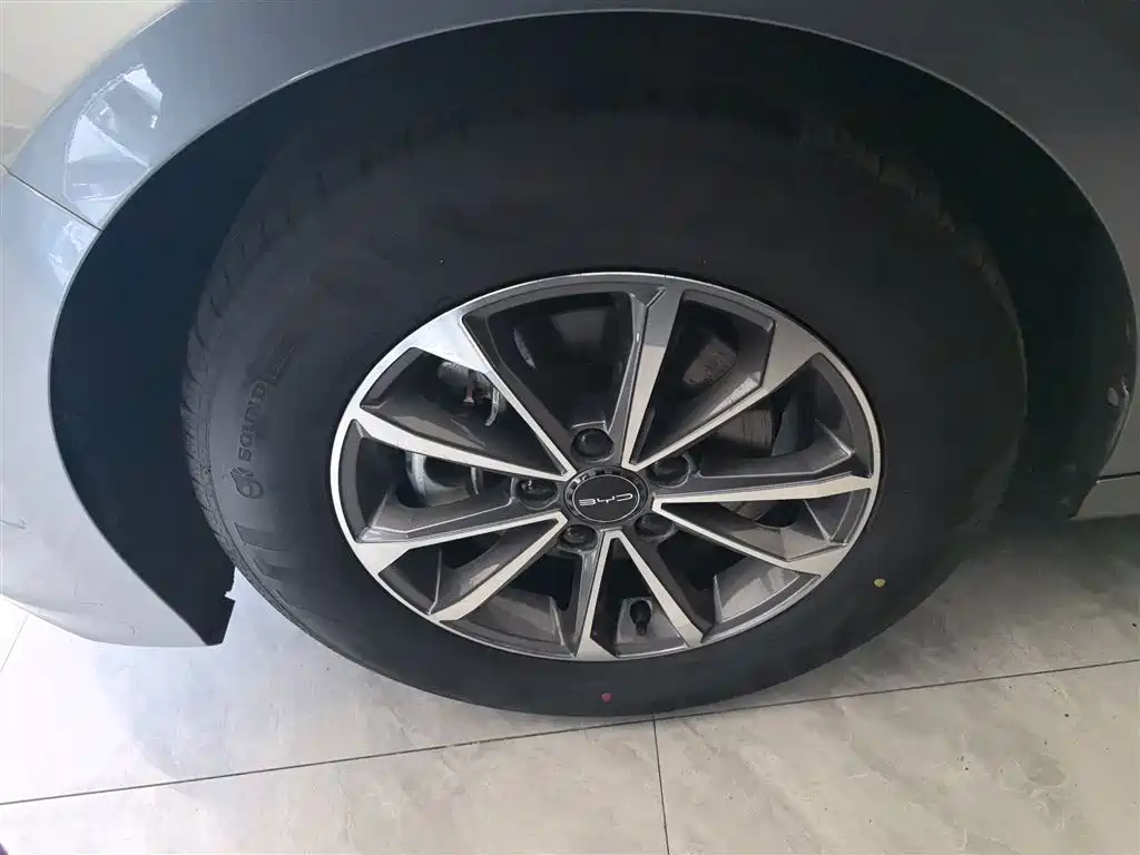 BYD Destroyer 05 2024 Glory Edition DM-i 55KM Luxury фото 25