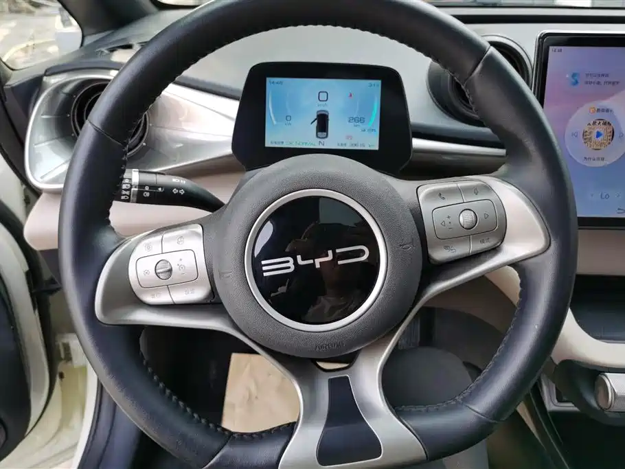 BYD Dolphin 2023 420km Fashion Edition фото 15