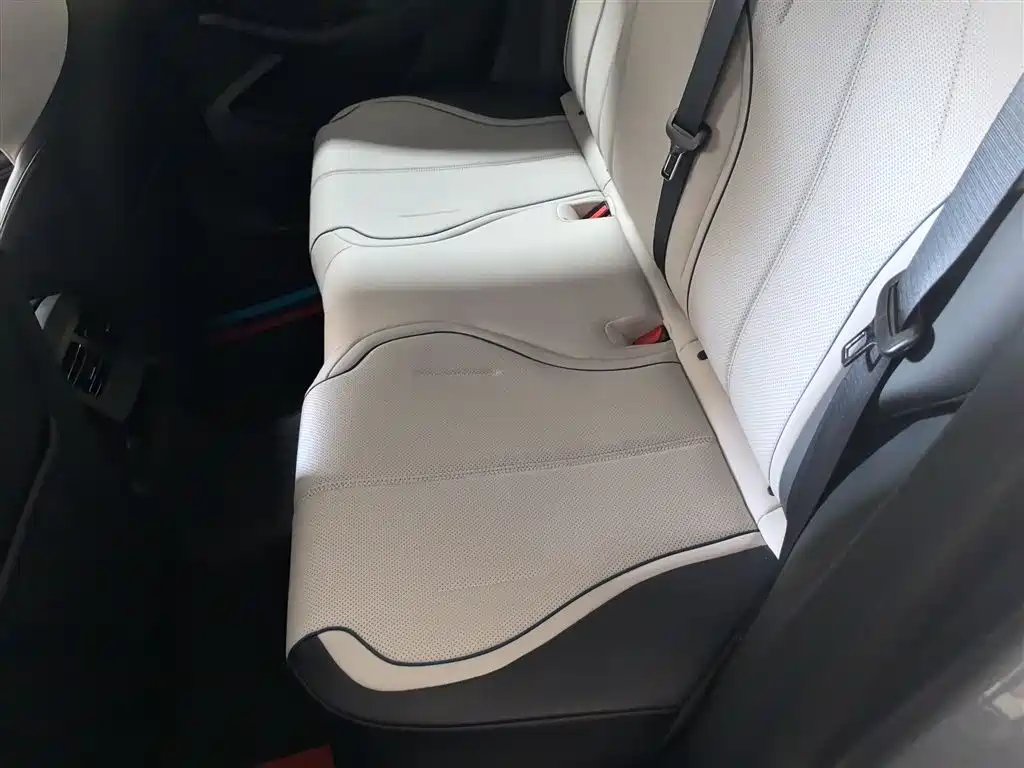 BYD Destroyer 05 2024 Glory Edition DM-i 55KM Luxury фото 13