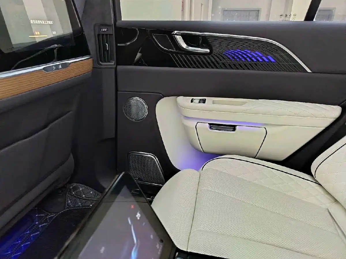 Hongqi E-HS9 2022 660km Qi Ling Edition (4-seater) фото 28