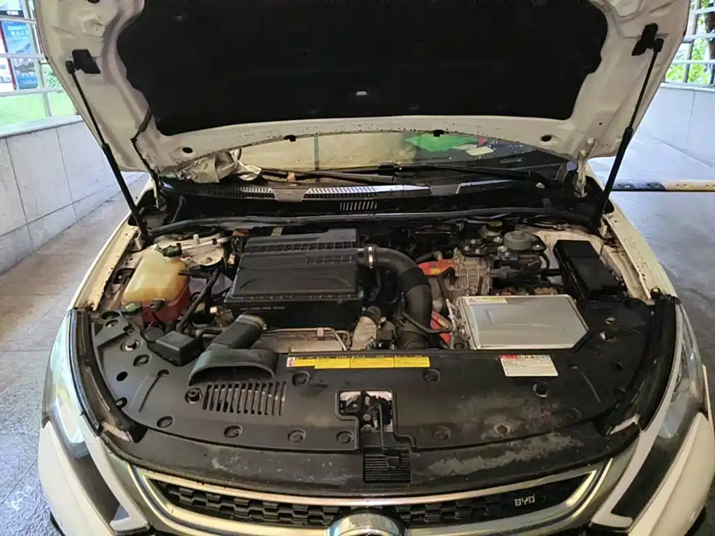 BYD Qin New Energy 2018 2017 1.5T Premium Model