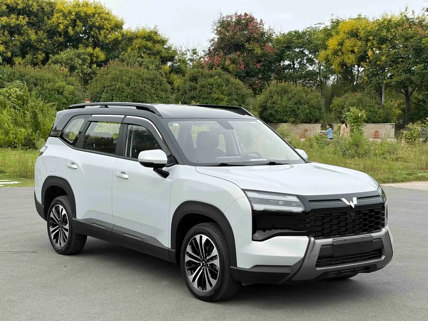2026 Wuling Motors Starlight 560