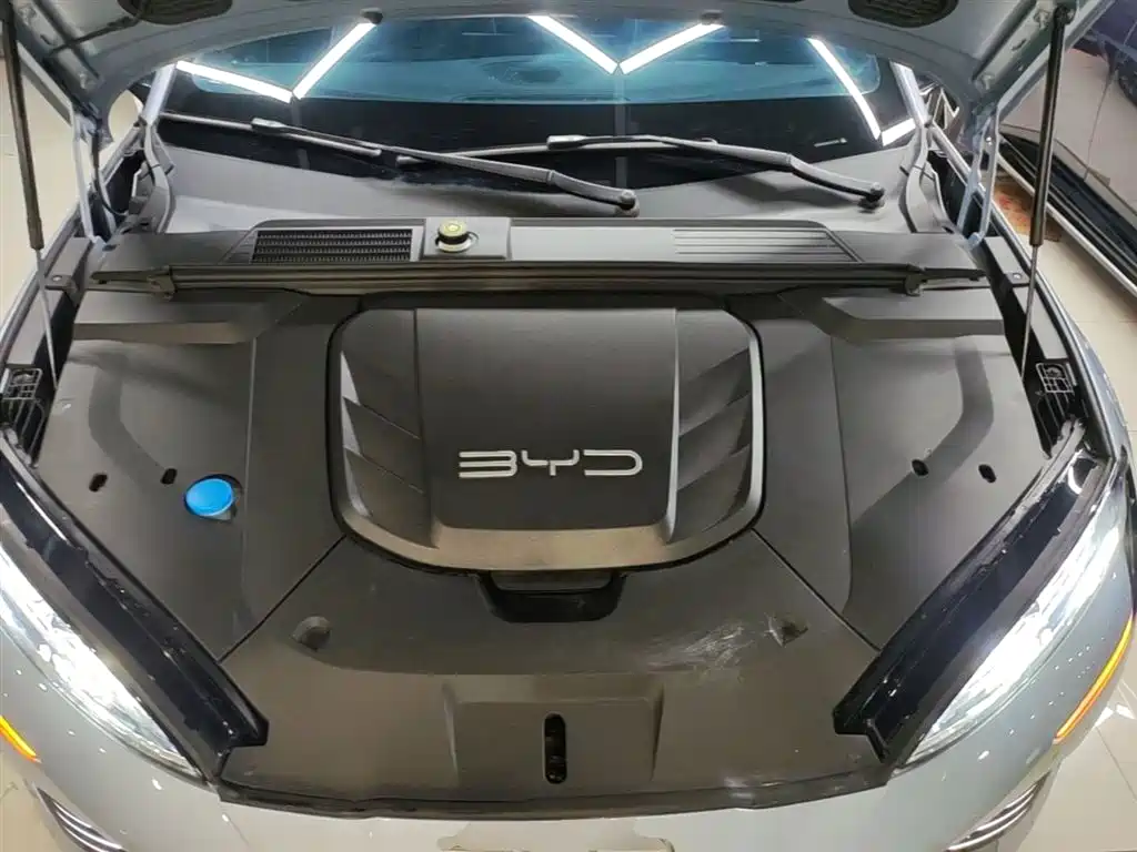 BYD Seal 2023 Champion Edition 550km Elite фото 10