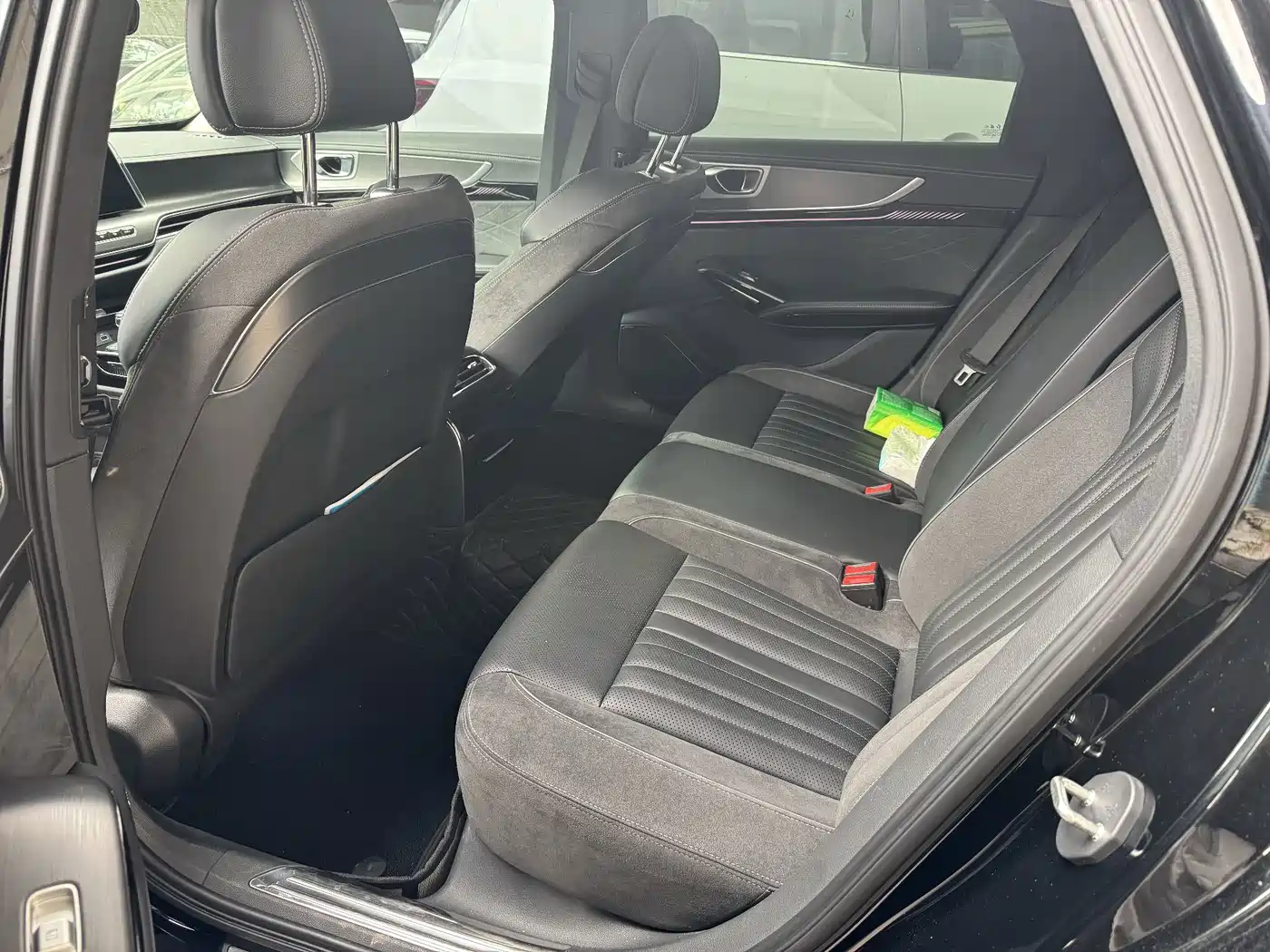 Hongqi H9 2025 2024 2.0T Qi Enjoy Private Fashion Edition