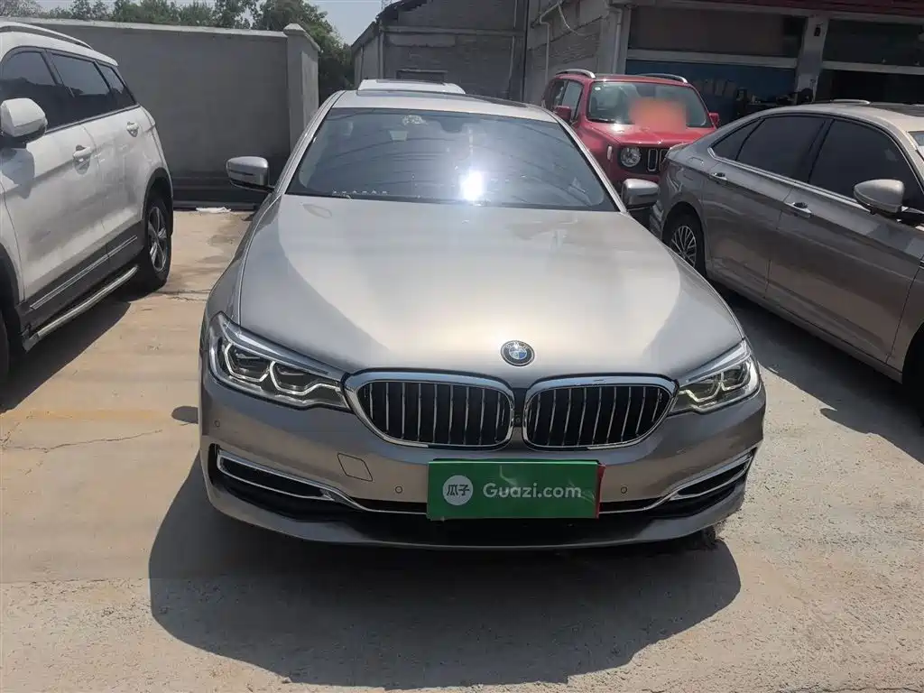 BMW 5 Series 2019 530Li Premium Luxury Package фото 3