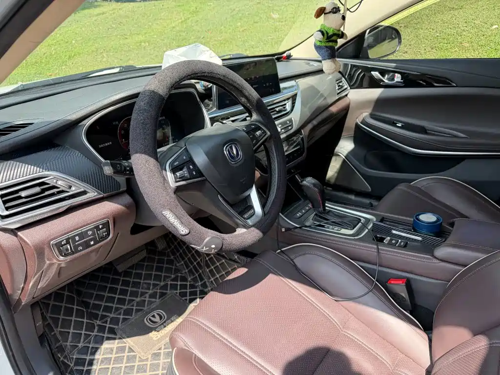 Changan Raeton CC 2018 2018 1.5T Auto Premium Class China V