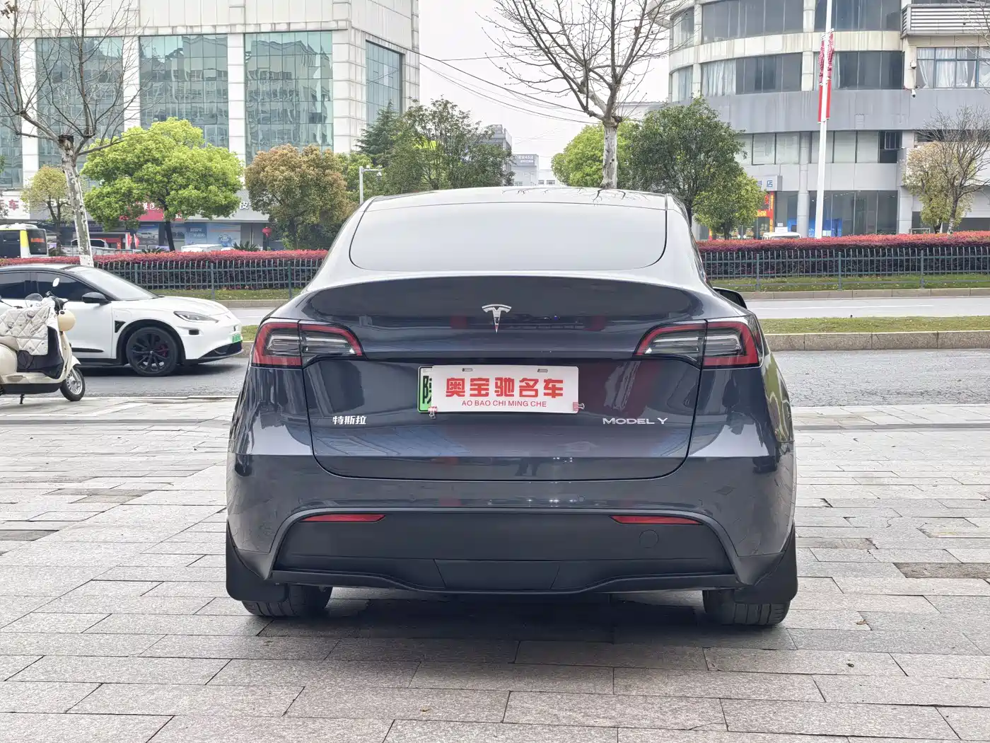 TESLA MODEL Y