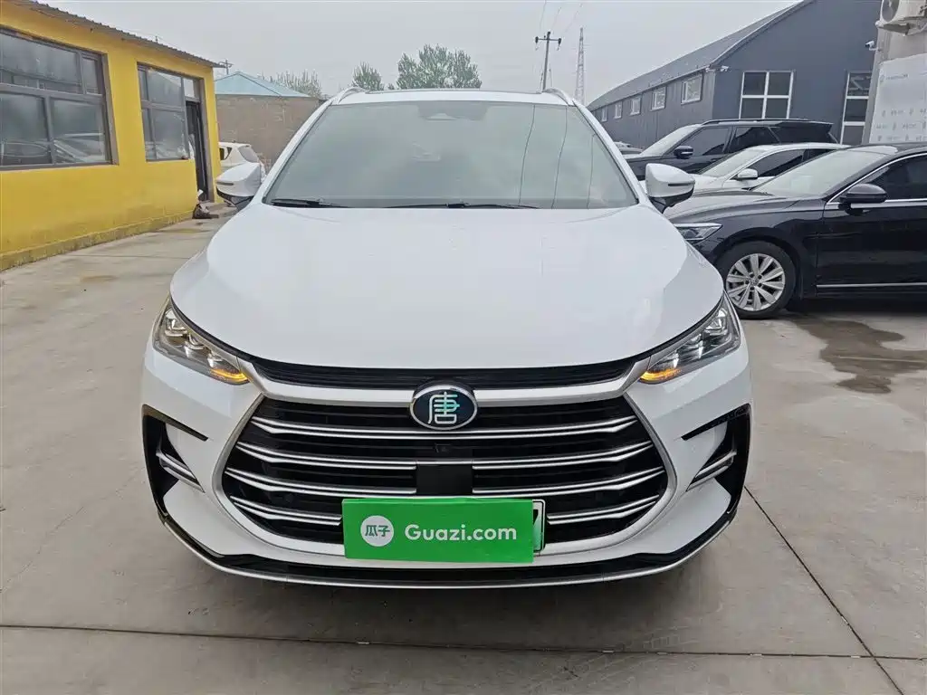 BYD Tang New Energy 2021 DM-i 112KM Honor фото 3