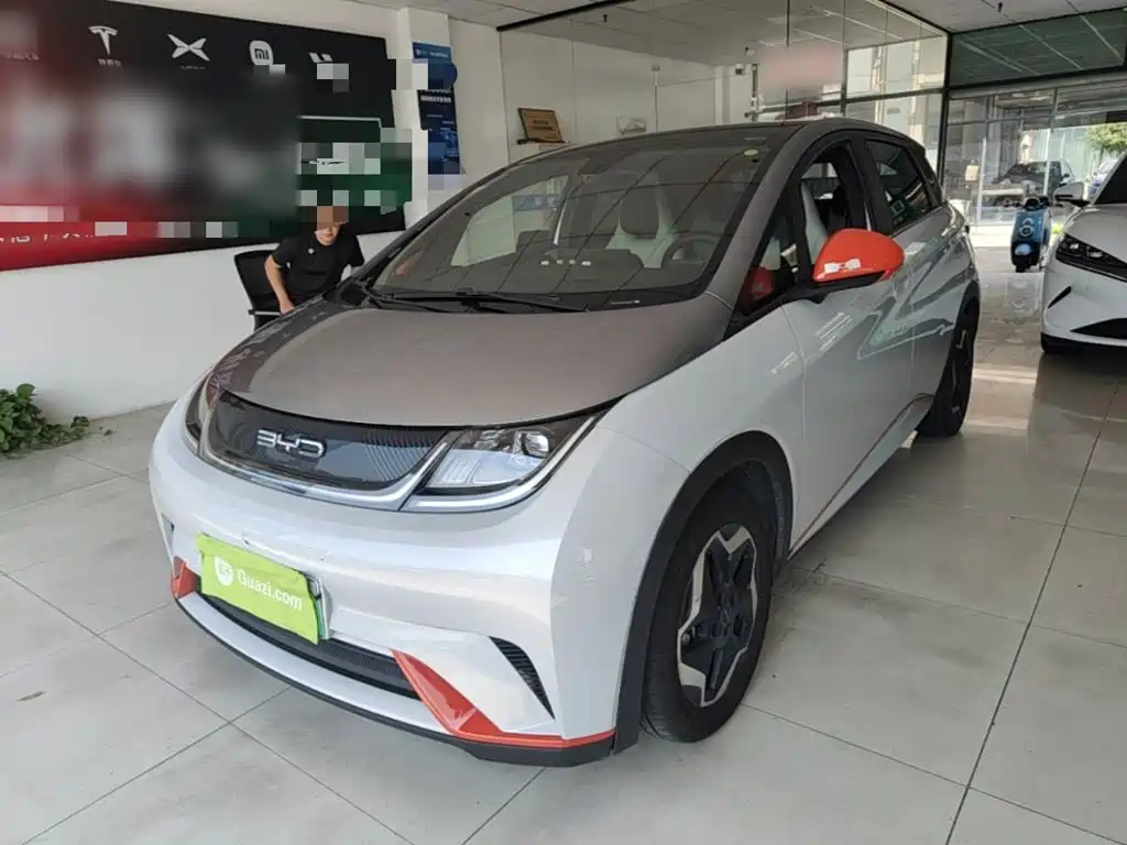 BYD Dolphin 2021 2021 Model 405km Fashion Edition