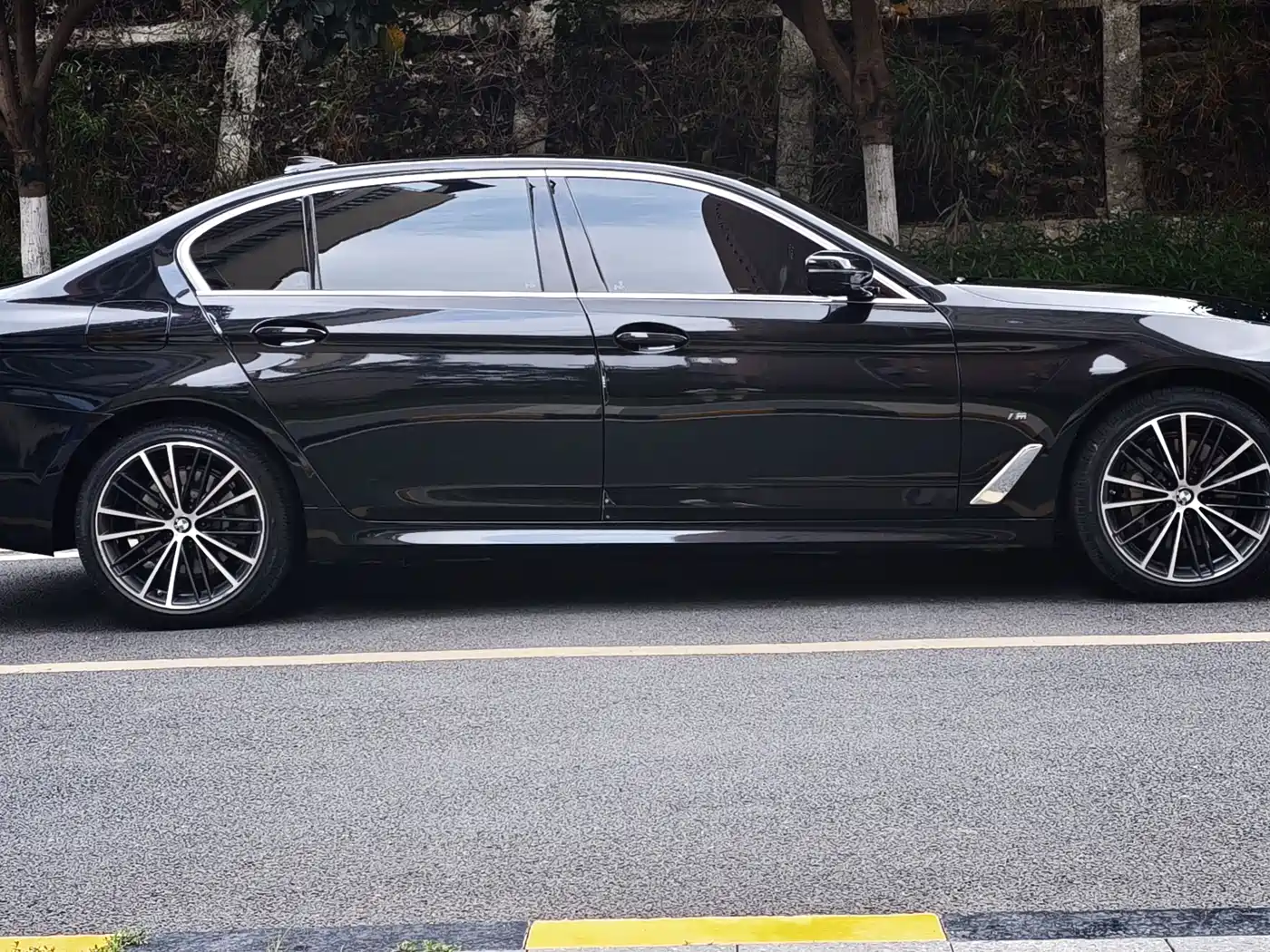 BMW 5 Series 2021 530Li Leading Luxury Package фото 4
