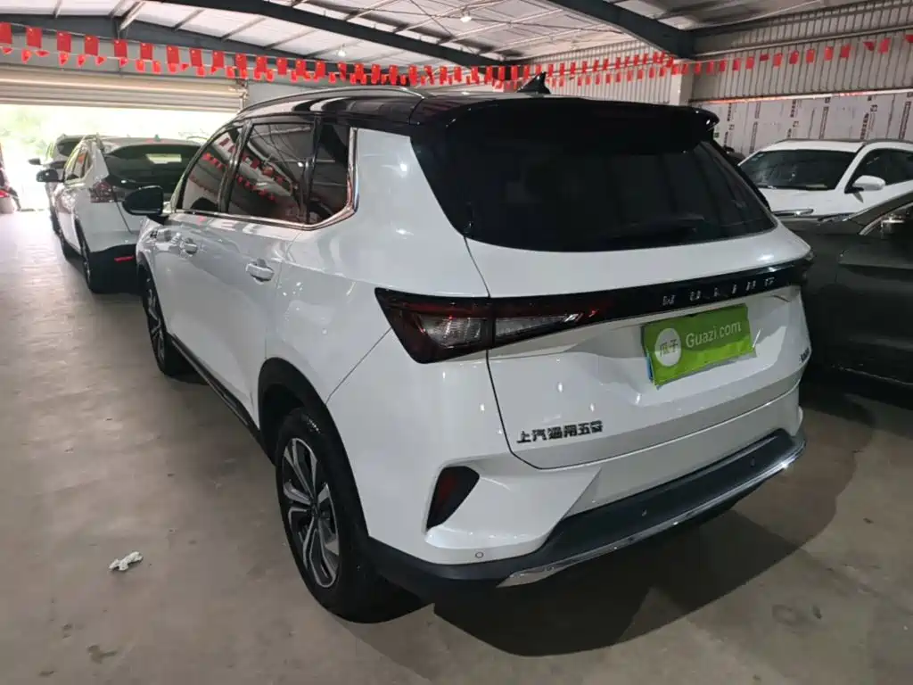 Wuling Motors Wuling Xingchen 2023 2021 1.5T CVT Starlight Edition
