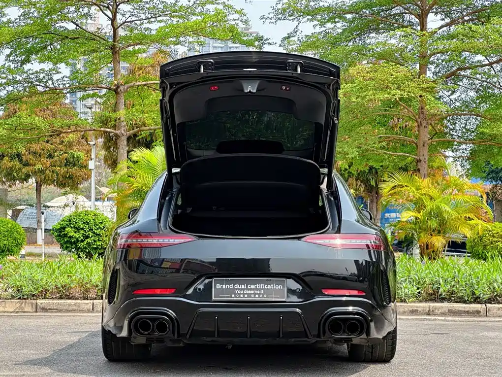 Mercedes-Benz AMG GT 2020 AMG GT 50 4-Door Coupe фото 29