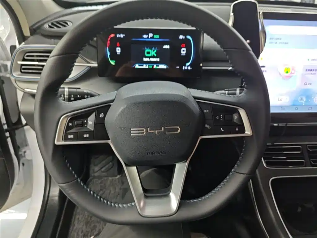 BYD Destroyer 05 2024 Glory Edition DM-i 55KM Luxury фото 11