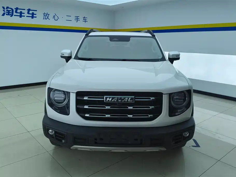 HAVAL BIG DOG