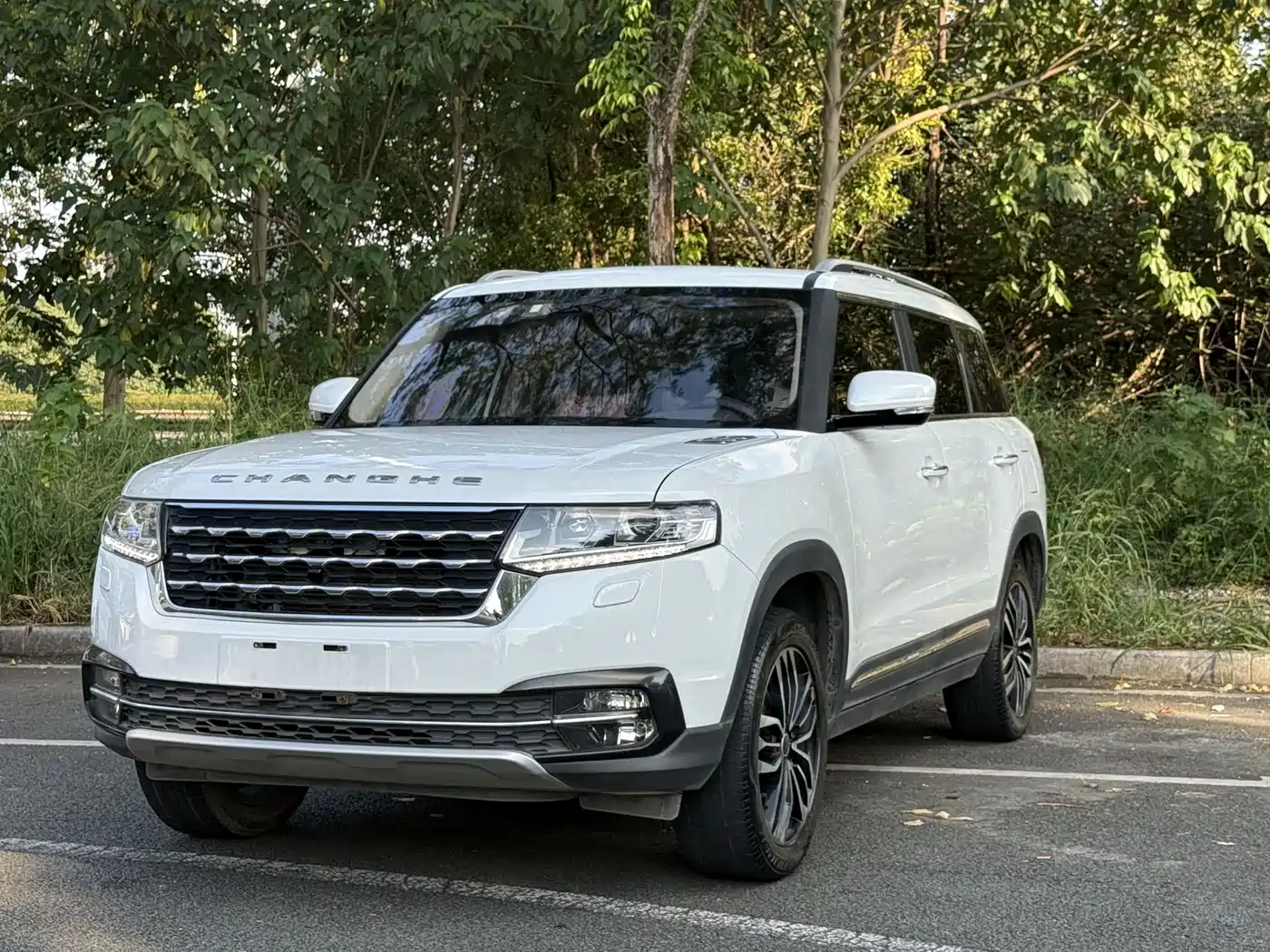 2019 BAIC Changhe Q7