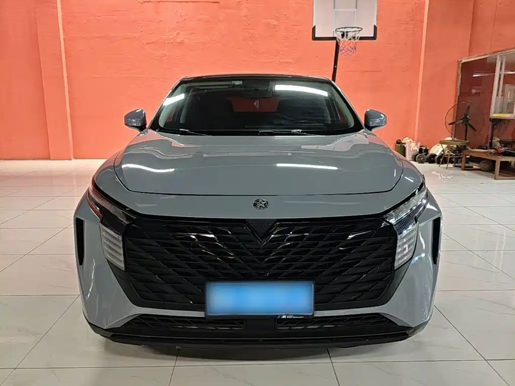 Venucia Big V 2023 2021 260T Idol Edition