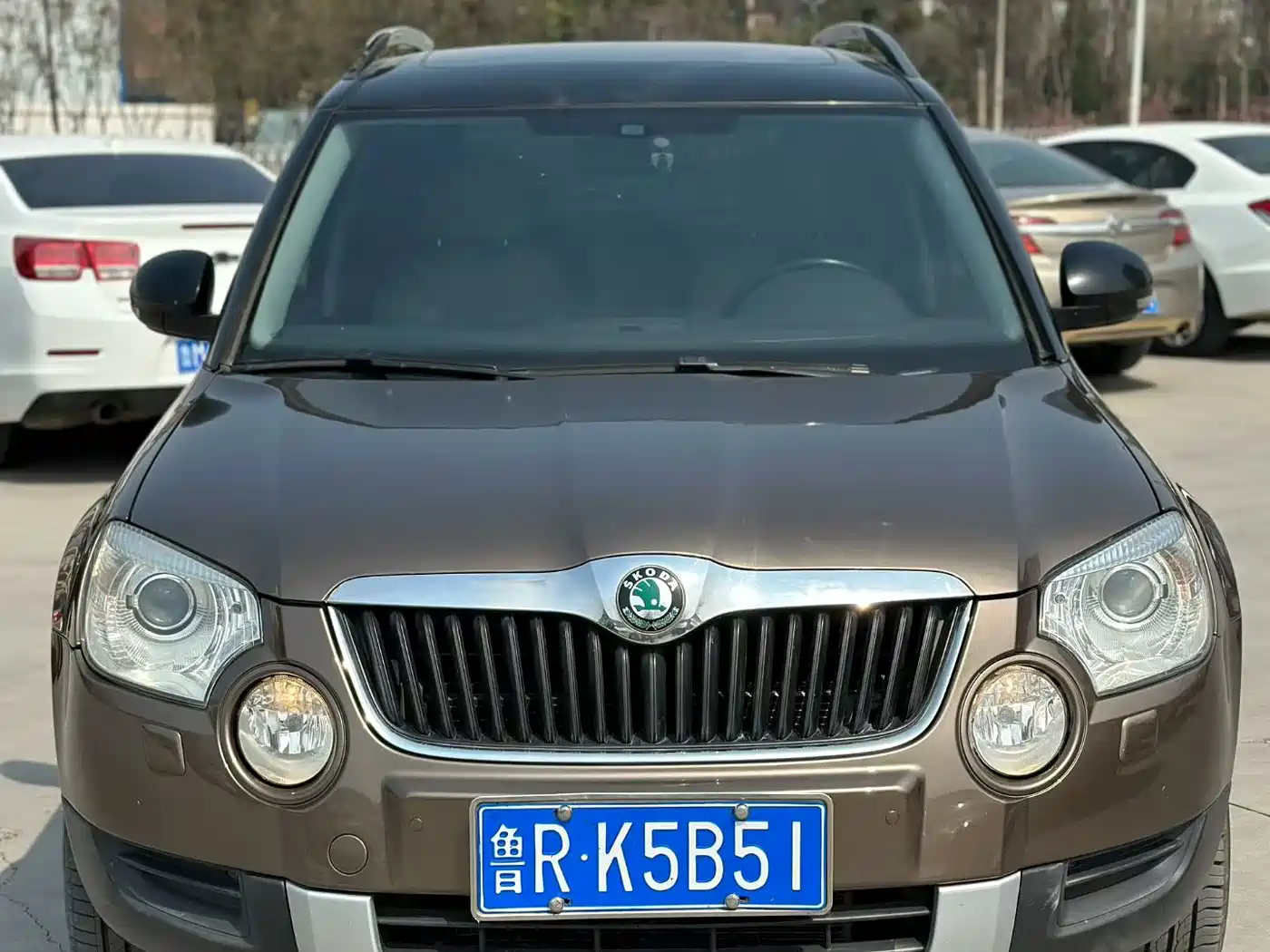 Škoda Yeti (Import) 2013 1.8T DSG Premium Edition фото 2