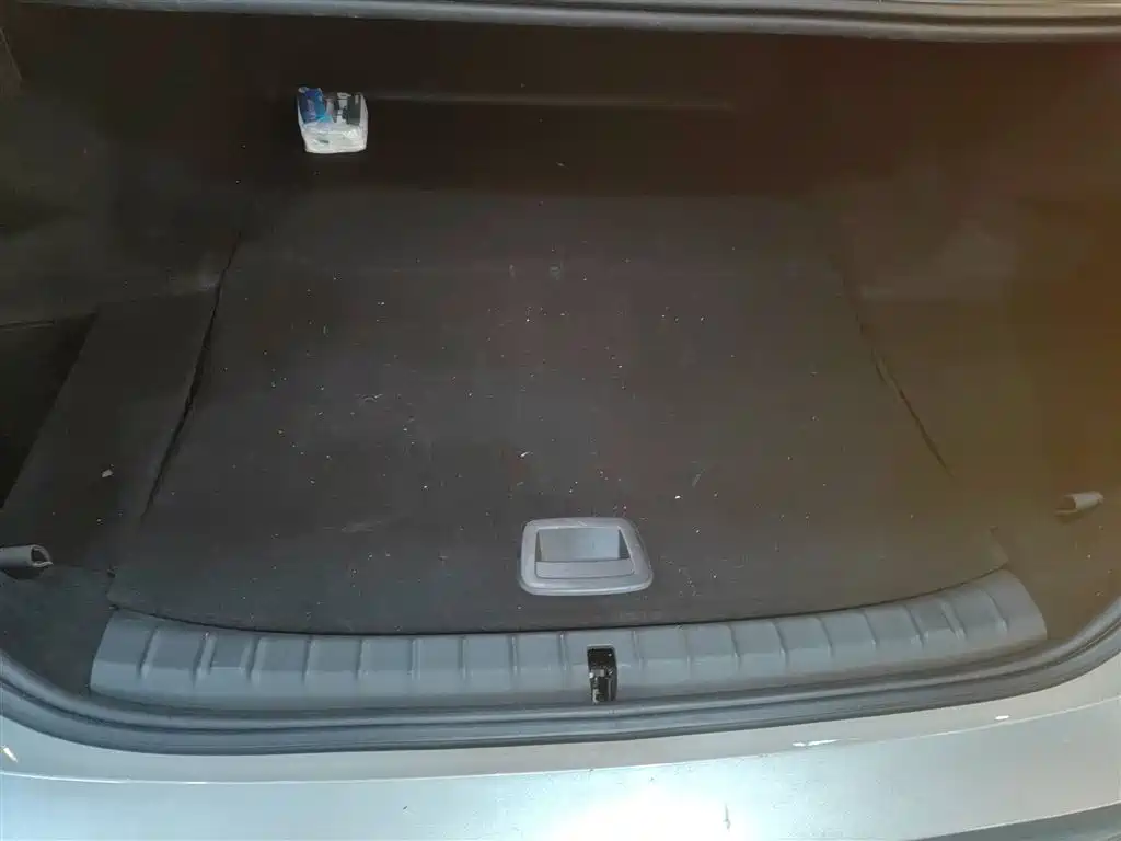 BMW 5 Series New Energy 2019 Facelift 530Le Pioneer Edition фото 19