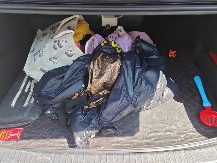 VOLKSWAGEN PASSAT NEW ENERGY