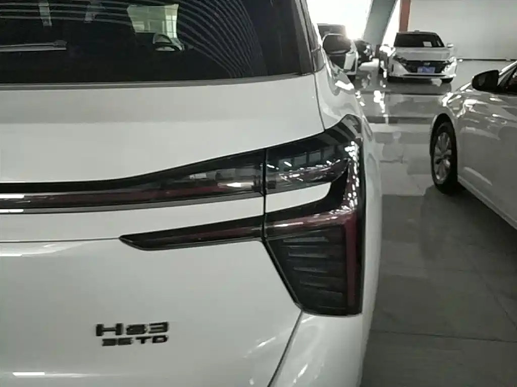 Hongqi HS3 2023 1.5T 2WD Virtue Edition фото 8