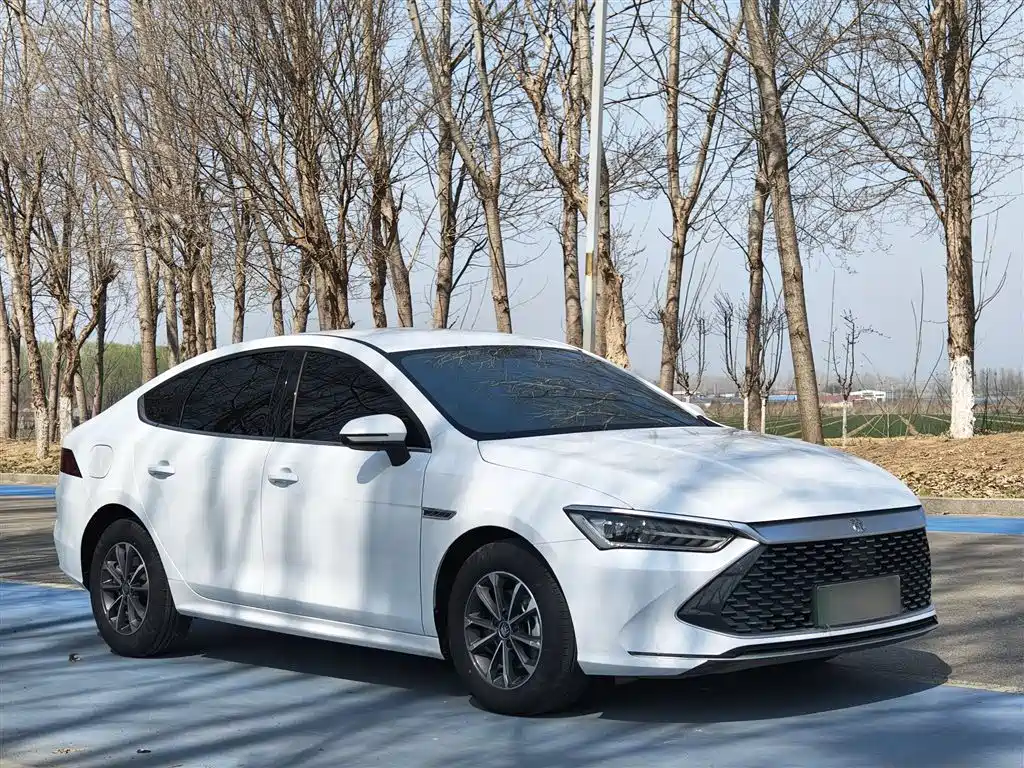 BYD Qin PLUS 2024 Glory Edition DM-i 55KM Leading фото 19