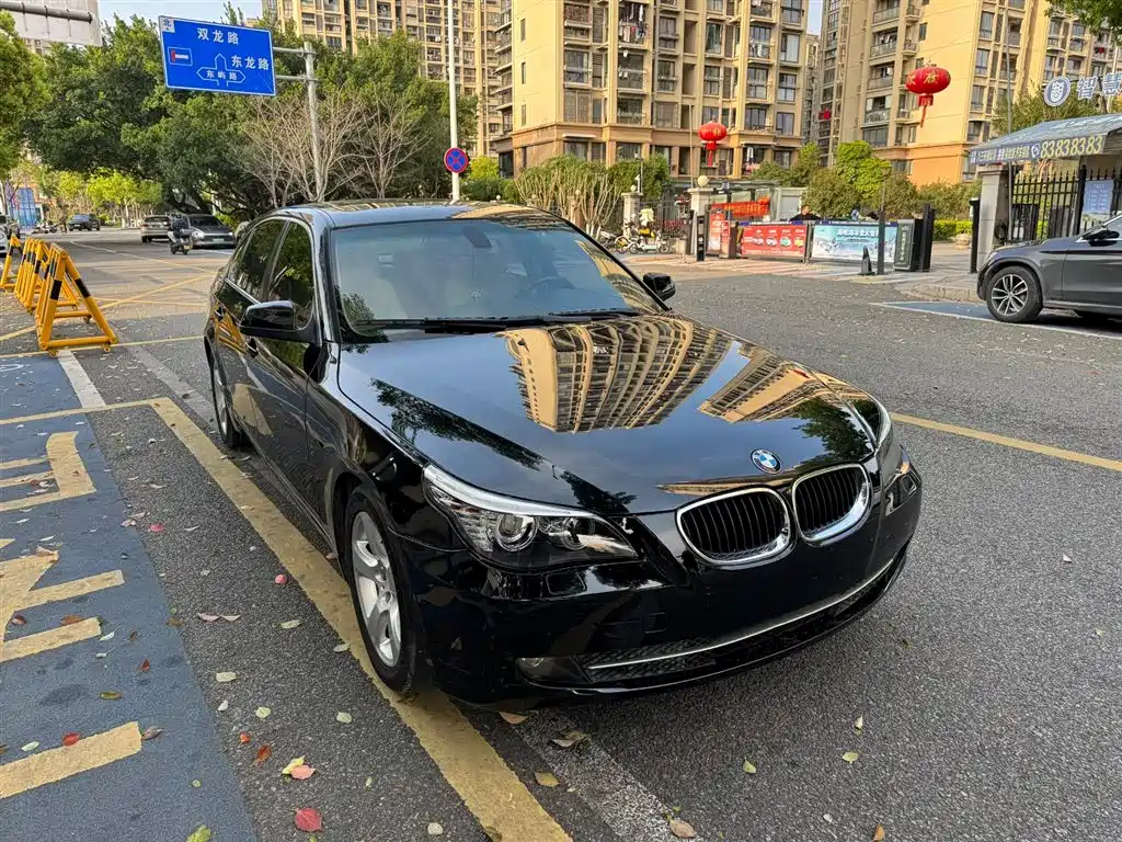 BMW 5 Series 2010 520Li Luxury фото 8