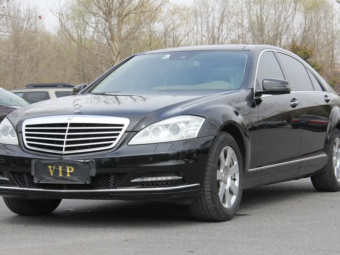 Mercedes-Benz S-Class 2010 S 300 L Premium фото 2