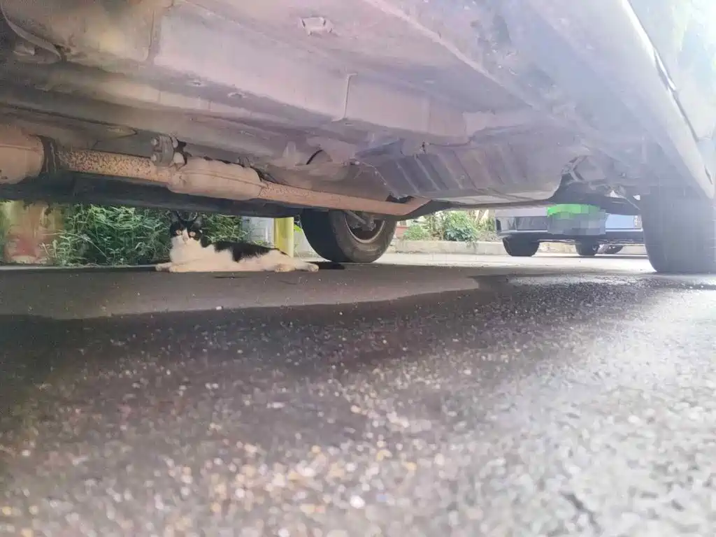Hyundai Tucson 2009 2009 2.0L Manual 2WD Fashion