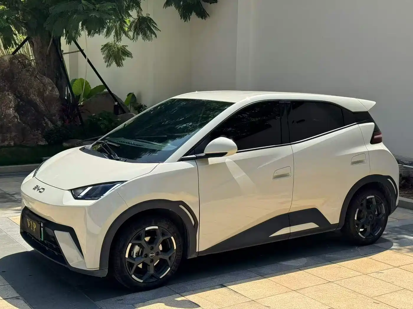 BYD Seagull 2024