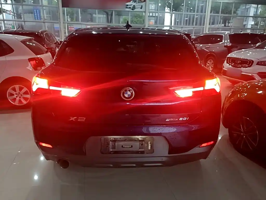 BMW X2 (Import) 2019 2019 sDrive20i M Off-Road Package China VI