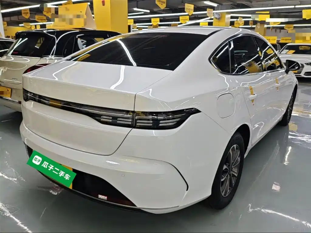 BYD Destroyer 05 2024 Glory Edition DM-i 55KM Luxury фото 7