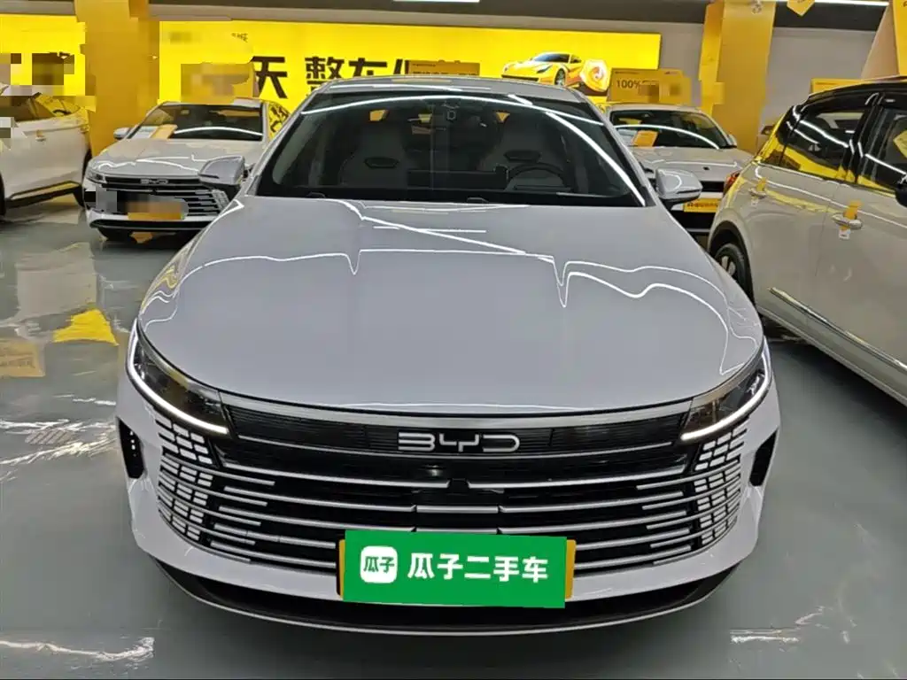 BYD Destroyer 05 2024 Glory Edition DM-i 55KM Luxury фото 3