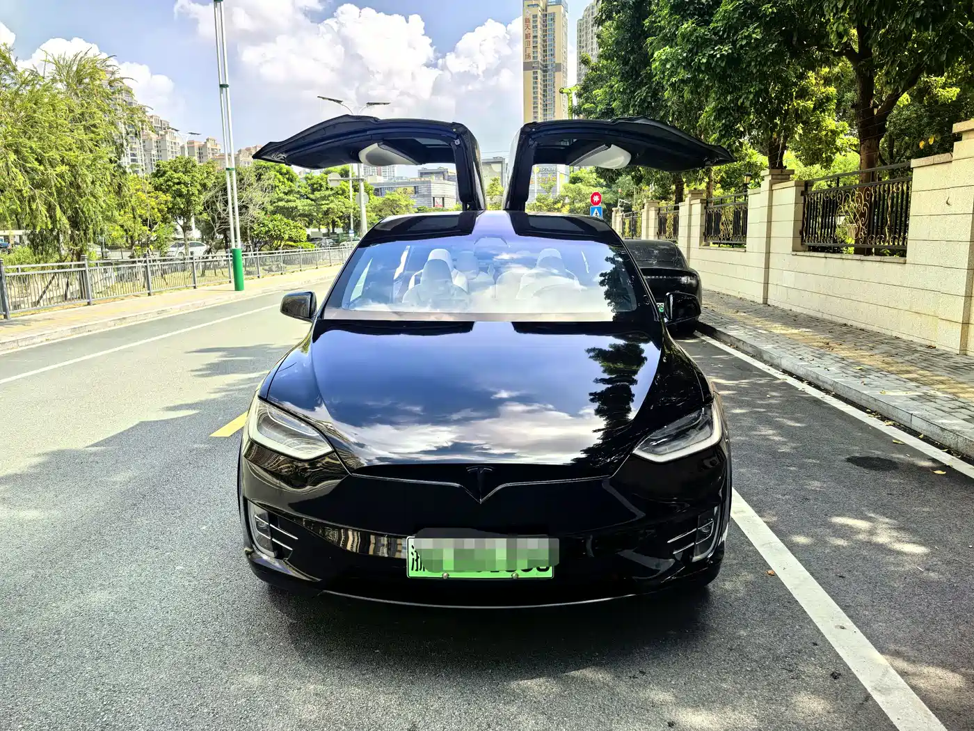 TESLA MODEL X