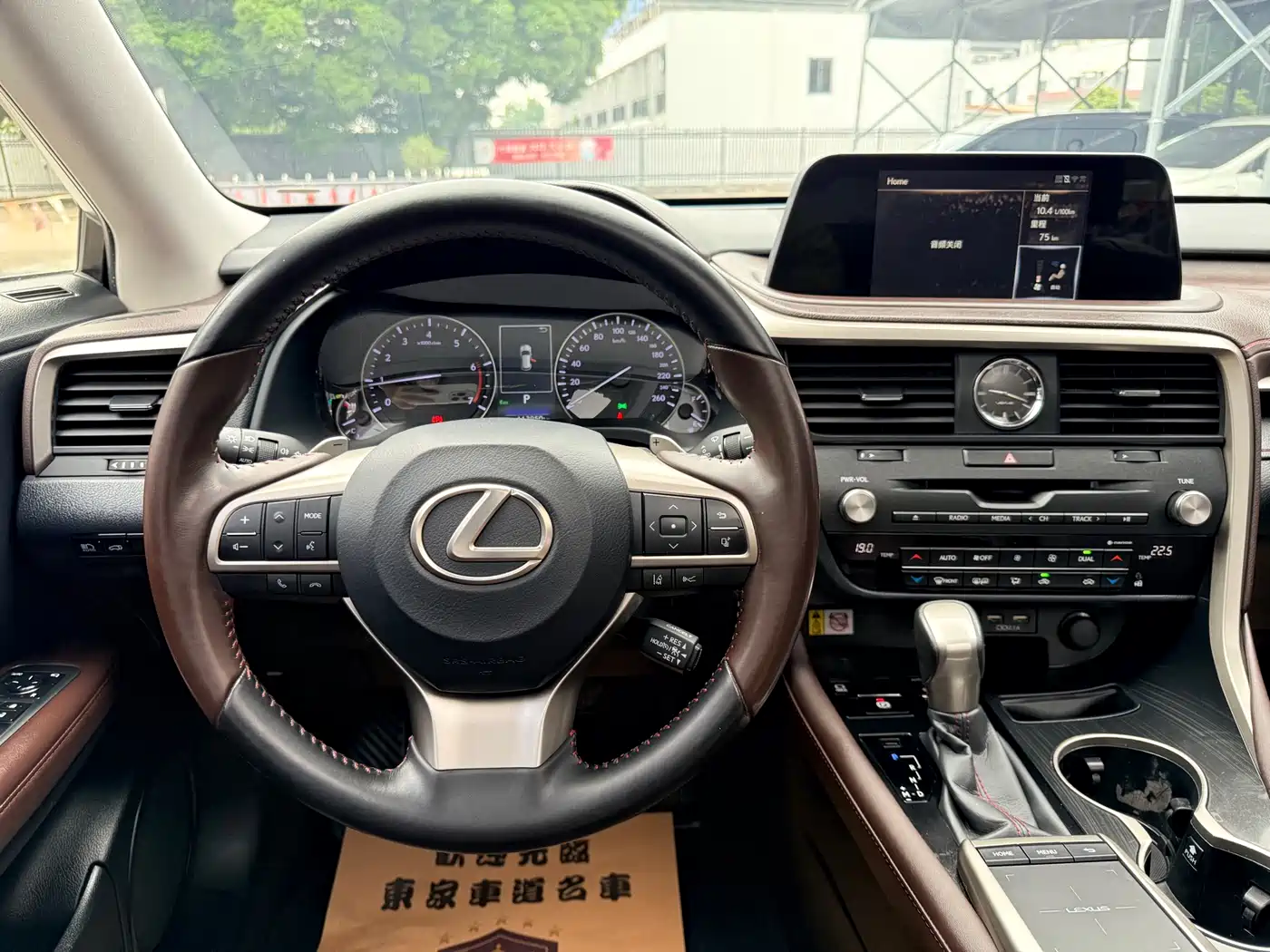 Lexus RX 2020 300 4WD Elegance Edition China VI фото 20