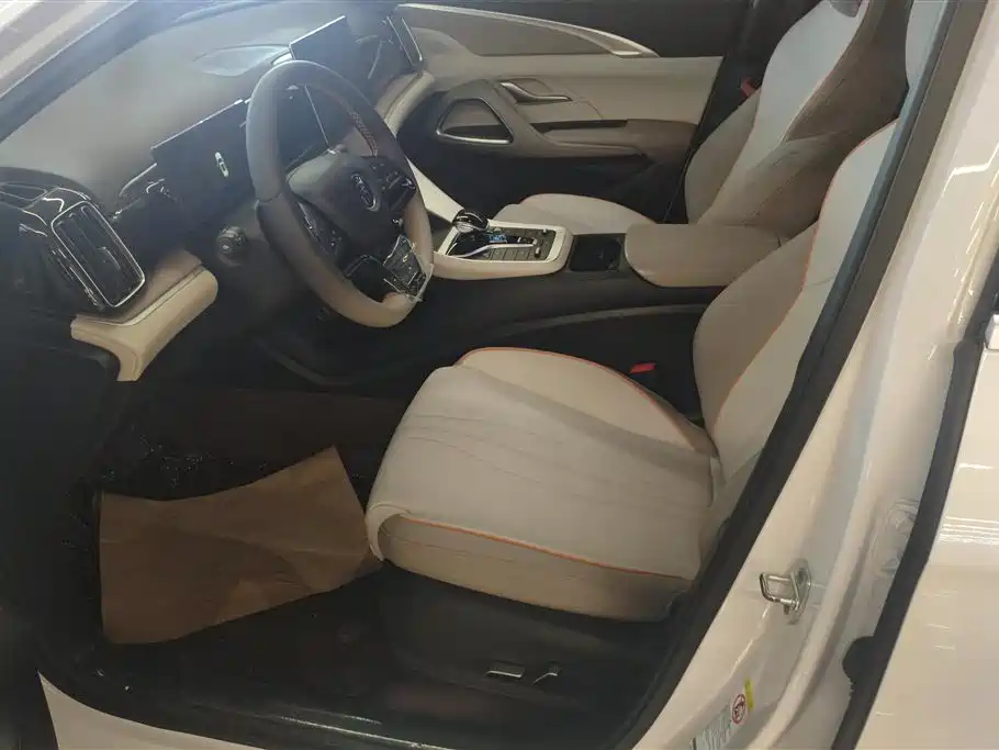 BYD Song Pro New Energy 2024 Glory Edition DM-i 71KM Leading фото 9