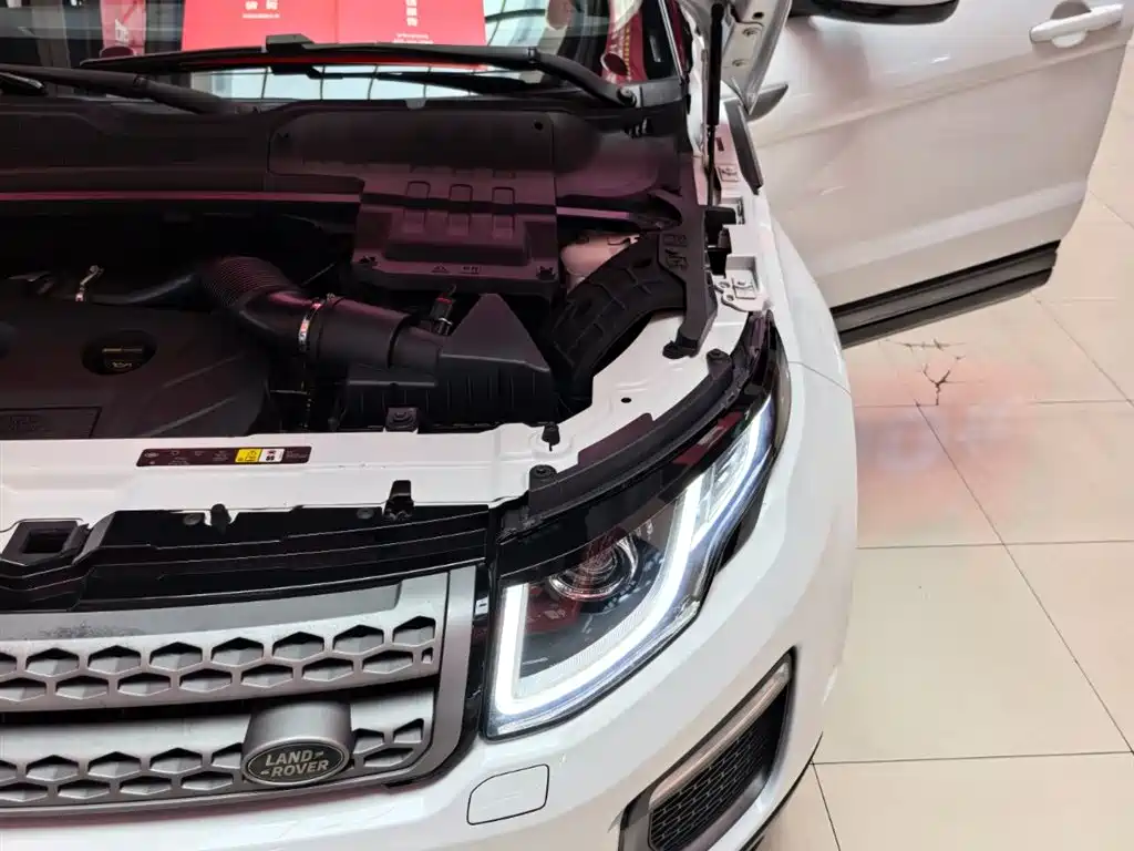 Land Rover Range Rover Evoque 2018 240PS PURE Trend фото 20