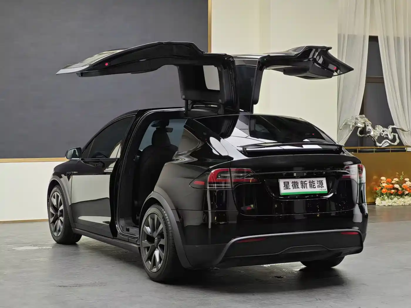 Tesla Model X 2023 Dual Motor All-Wheel Drive Edition фото 18
