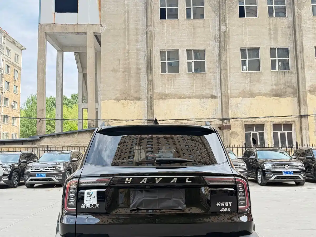 Haval Big Dog 2022 2.0T DCT 4WD Chinese Rural Dog Hunting Edition фото 8